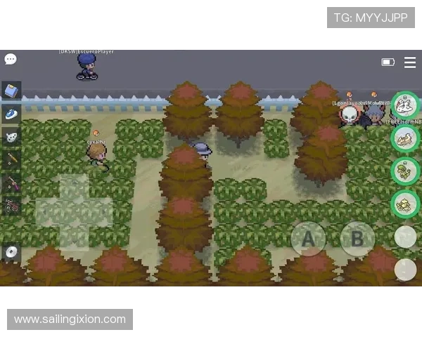 爱游戏ayx官网登录安全登录技巧，保护个人信息的实用建议