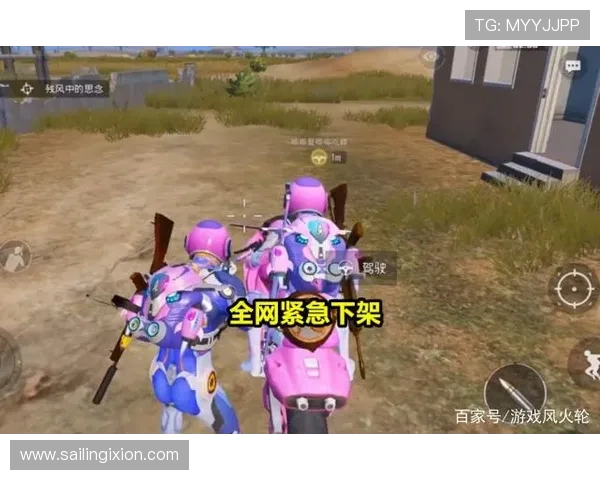 爱游戏中国：深入分析和平精英在中国市场的成功秘诀与未来发展方向